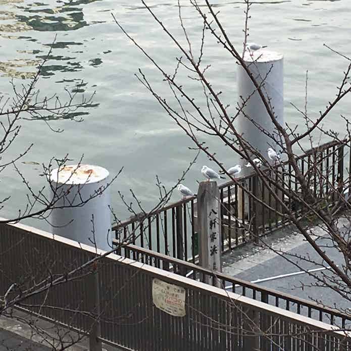 八軒家の船着場跡