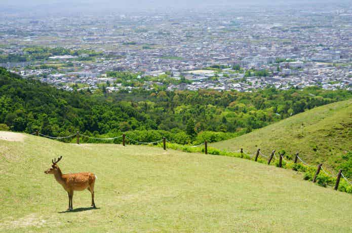 奈良のサイクリングロードの特徴