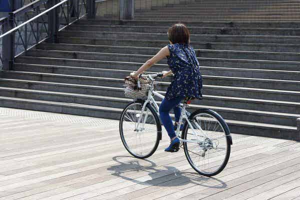 カゴ・泥除け付きのクロスバイク