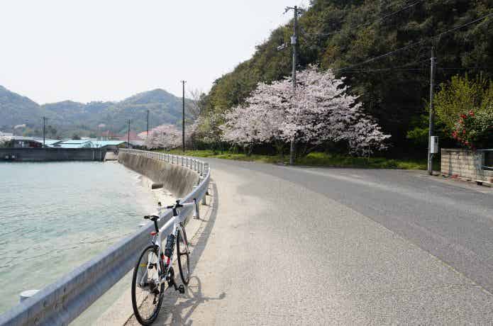 長い距離のロングライド向きは、楽な姿勢を取りやすいロードバイク