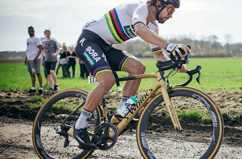 SPECIALIZED