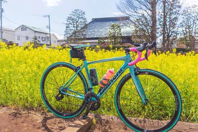 ビアンキのロードバイクと花畑