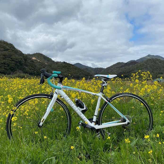ビアンキのロードバイクと自然