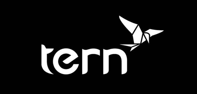 Tern（ターン）とは