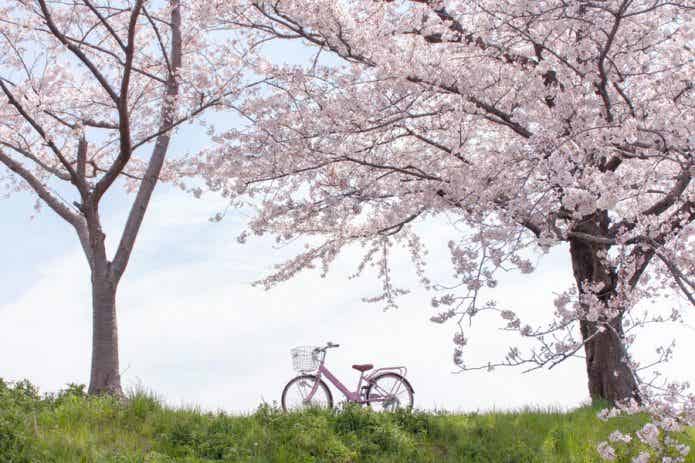 【おまけ】大人用の24インチ自転車を選んだら、ダメ?
