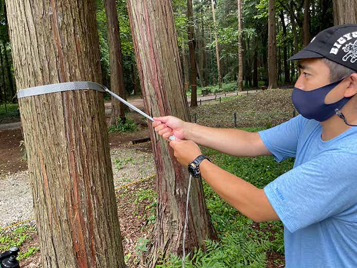 ハンモックの設営