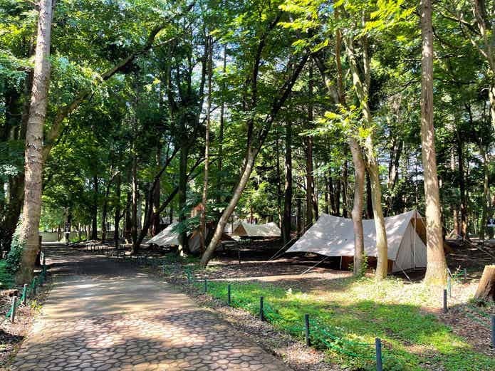 そして、キャンプ場の魅力のもう一つは、広大な敷地と豊富なサイト。