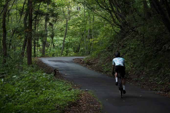 自転車　サイクリング