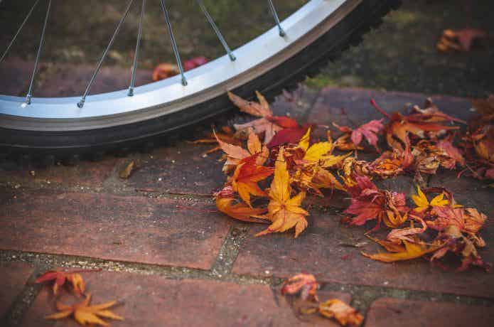 自転車　タイヤと紅葉