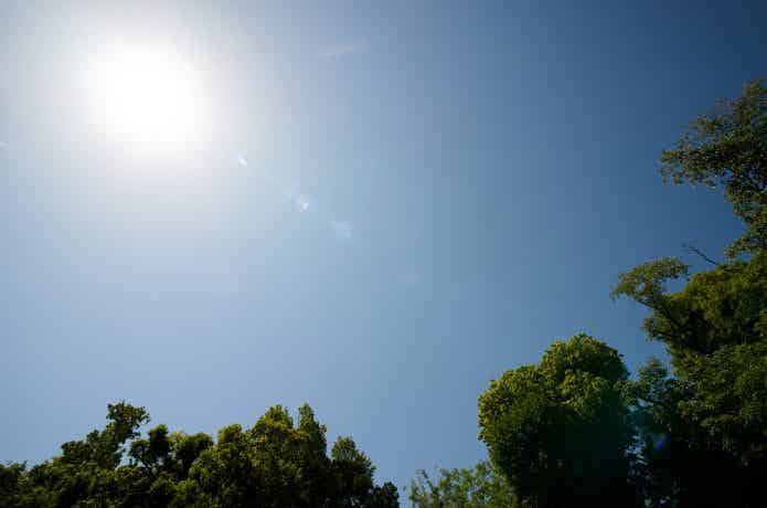 空　日差し　高温