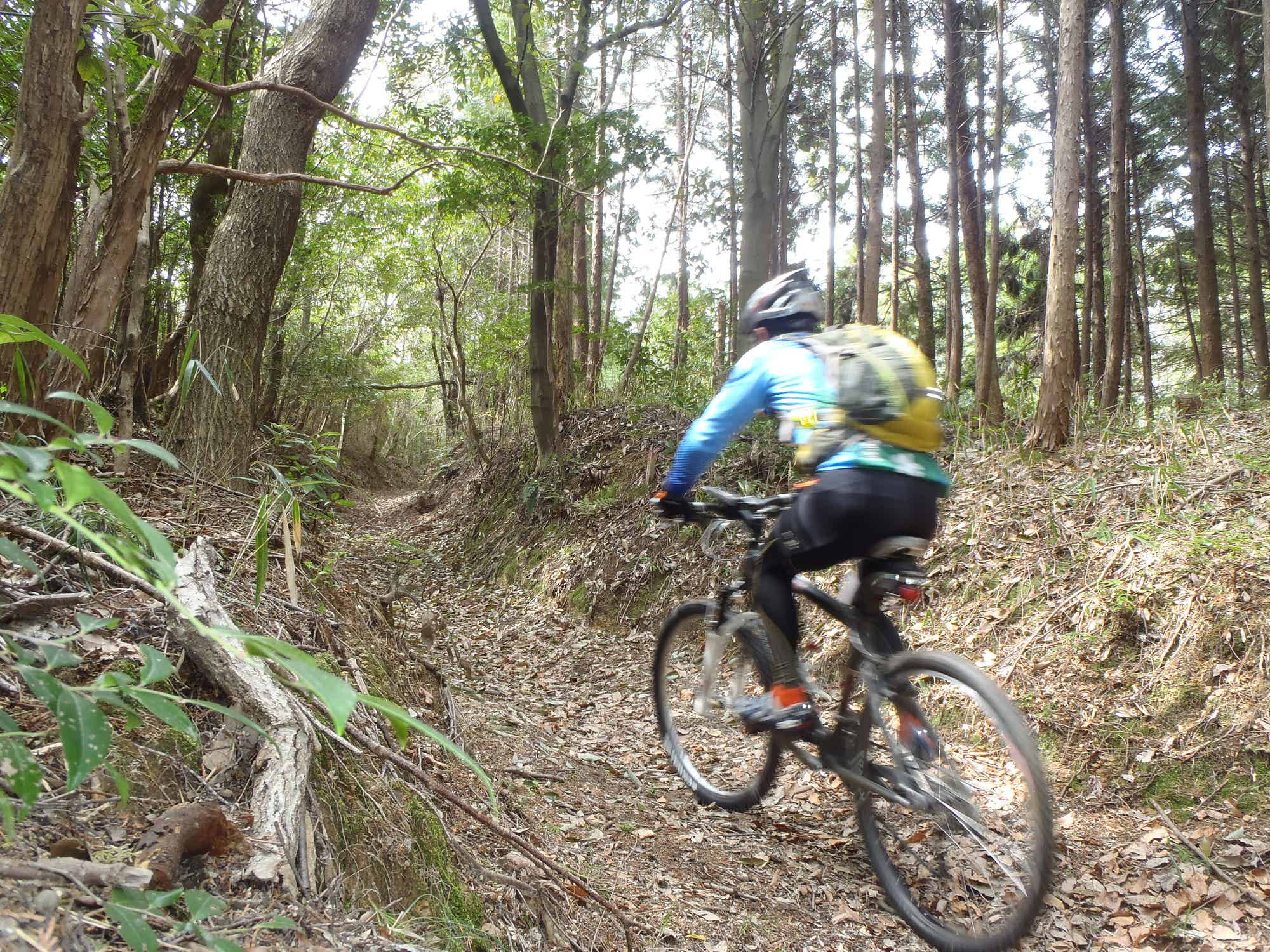 自転車 林道 男性