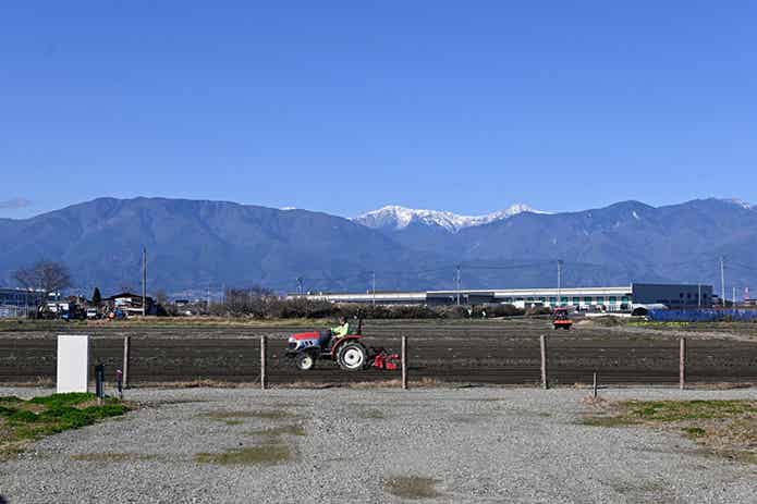 キャンプ場の雰囲気