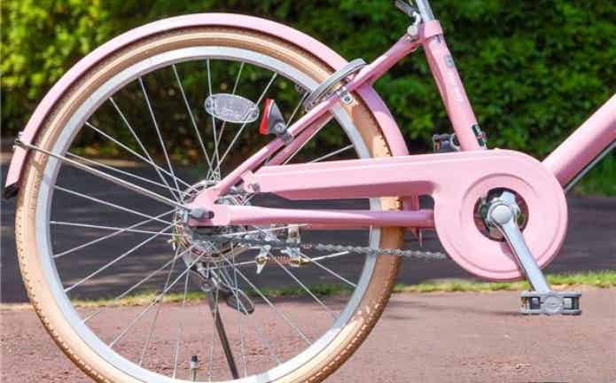 サイクルスポット ノルウェイ リタのチェーンガード