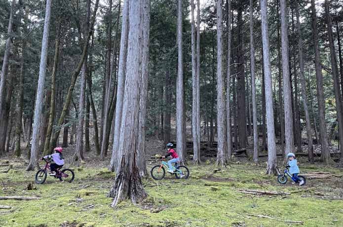 森林でサイクリングを楽しむ子供たち