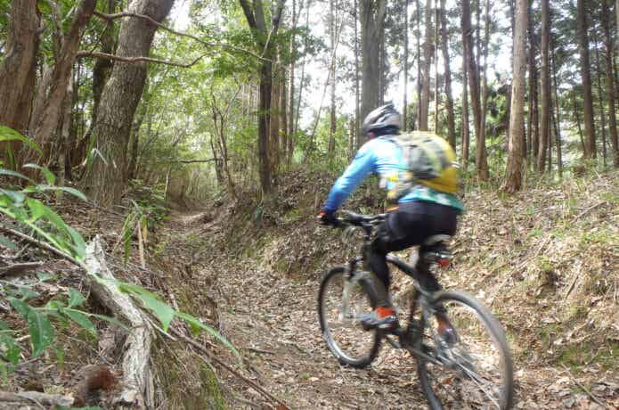 MTBに乗る男性