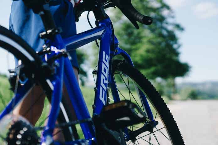 子供用　20インチバイク　Frog Road TEAMSky 改造あり 子供用 20インチバイク Frog Road TEAMSky 改造あり 子ども用