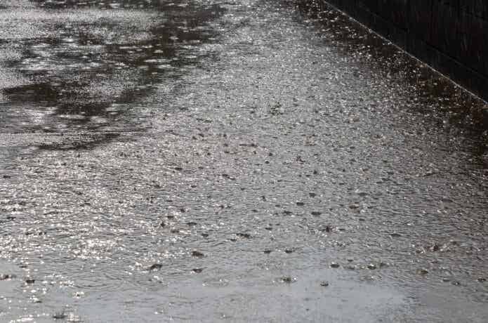 雨