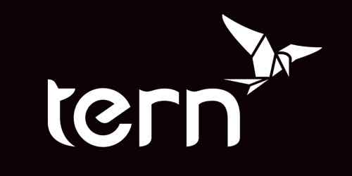 Ternロゴ
