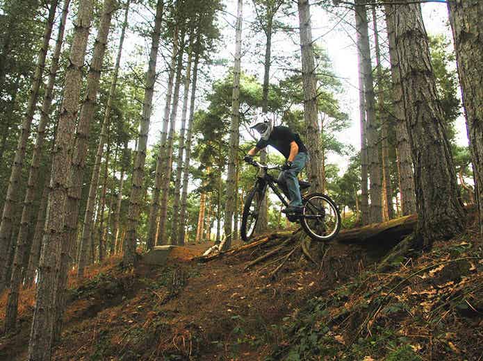 MTBを楽しむライダー