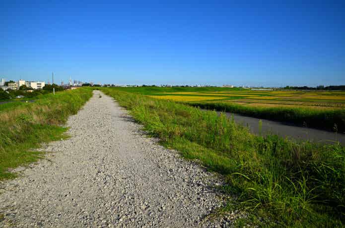 じゃり道