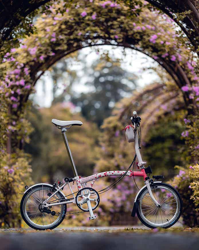 Brompton Cherry Blossom