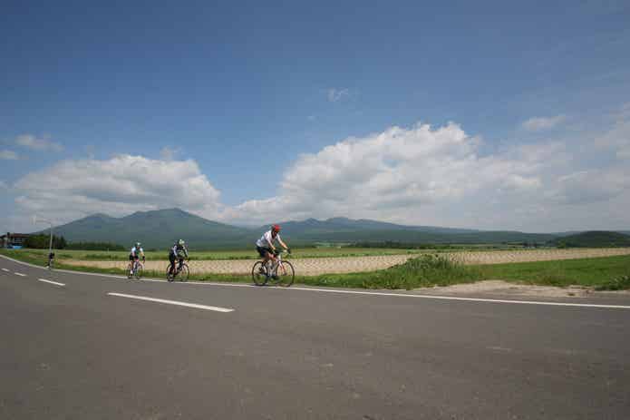 富良野エリアの絶景を巡るコース