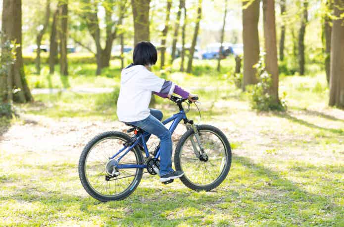 引取希望　良好 ブリヂストン キッズサイクル 青　24インチ マウンテンバイク 楽天市場】【ふるさと納税】AMERICAN EAGLE ジュニアマウンテン