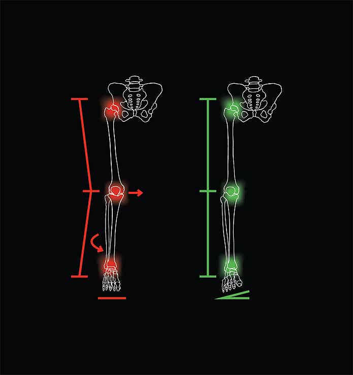 Body Geometry