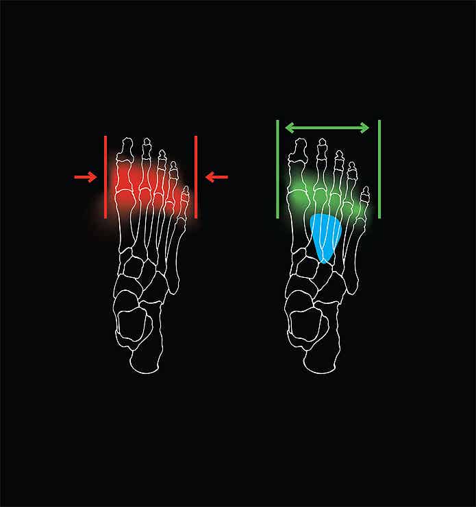 Body Geometry