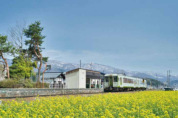 菜の花と列車