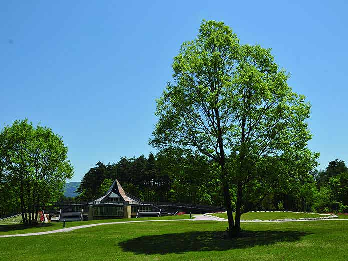 国営アルプスあづみの公園