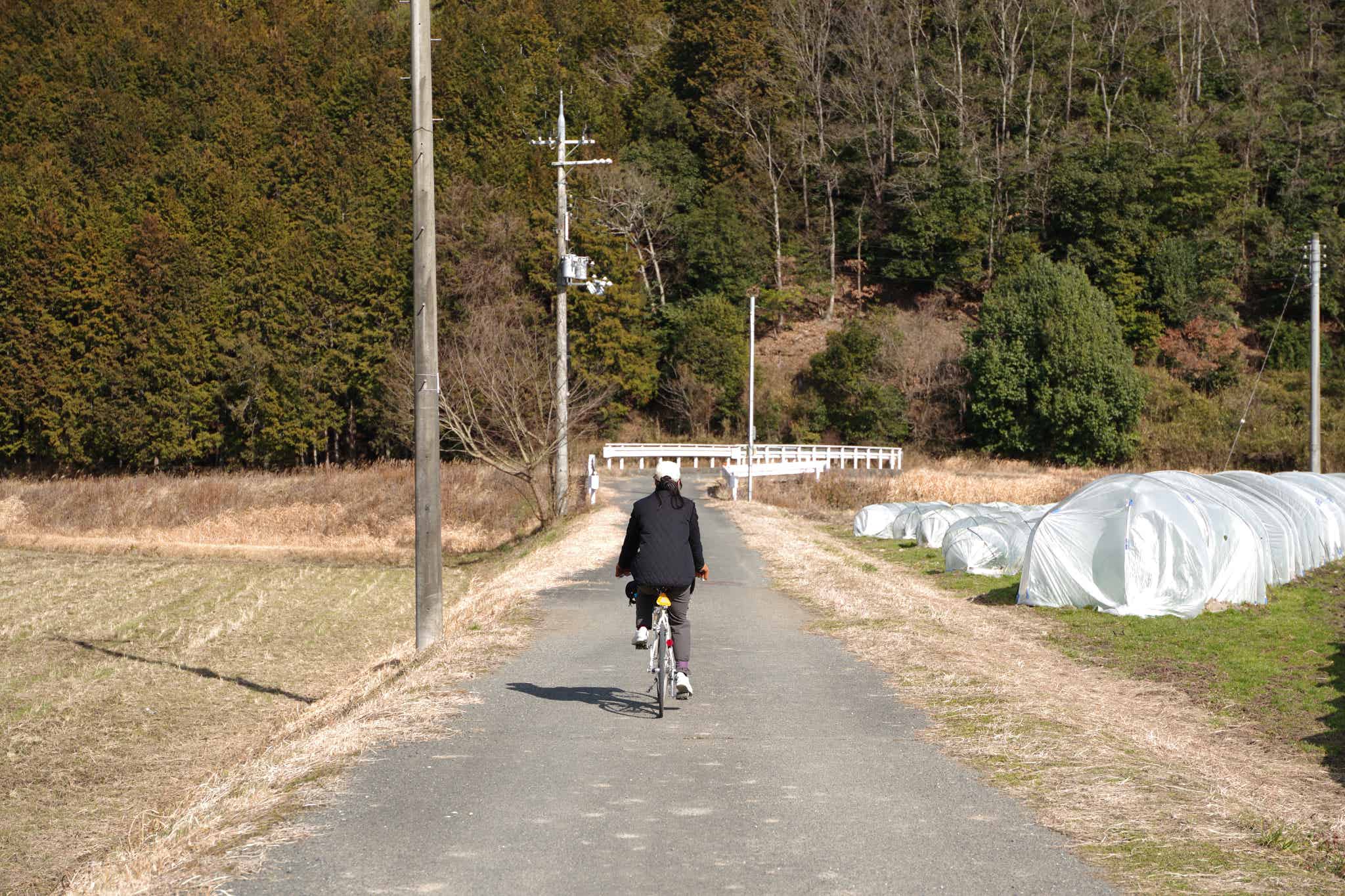 TOKYOBIKE26に乗って山のほうへ入っていく女性