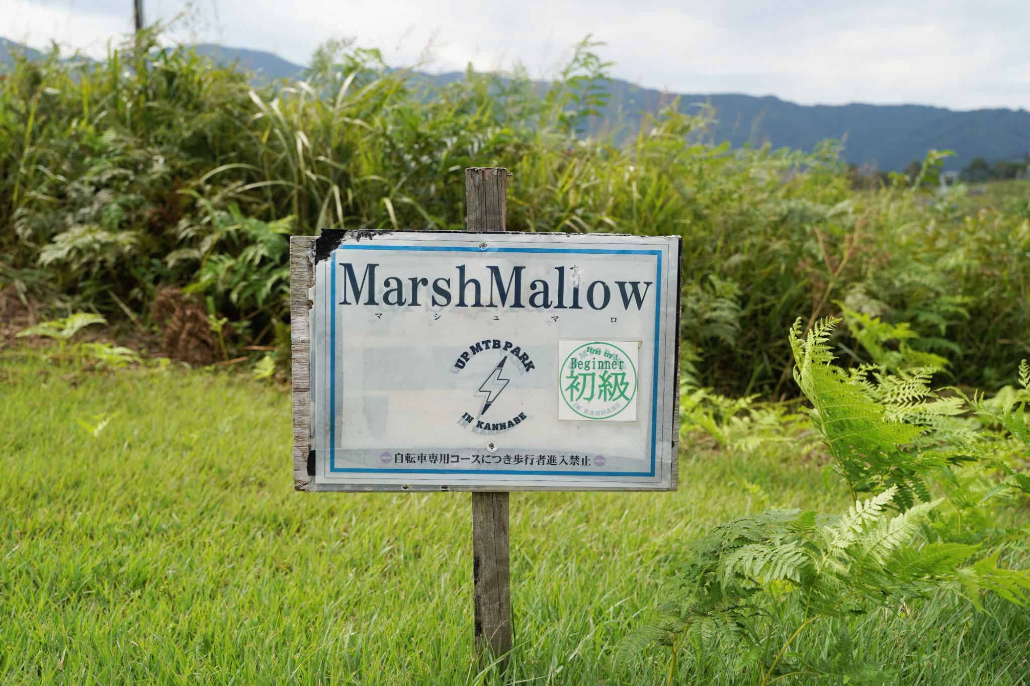 初級:MarshMallow(マシュマロ)