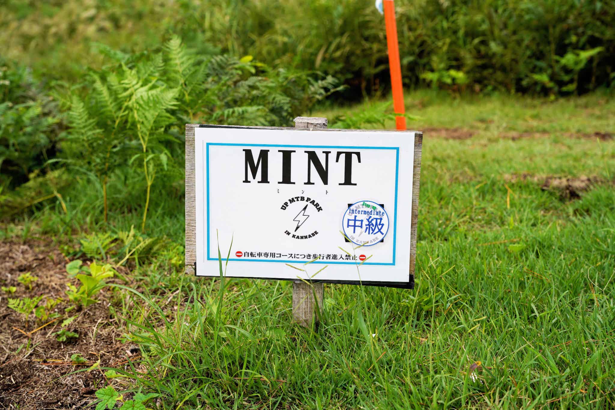 中級:MINT(ミント)