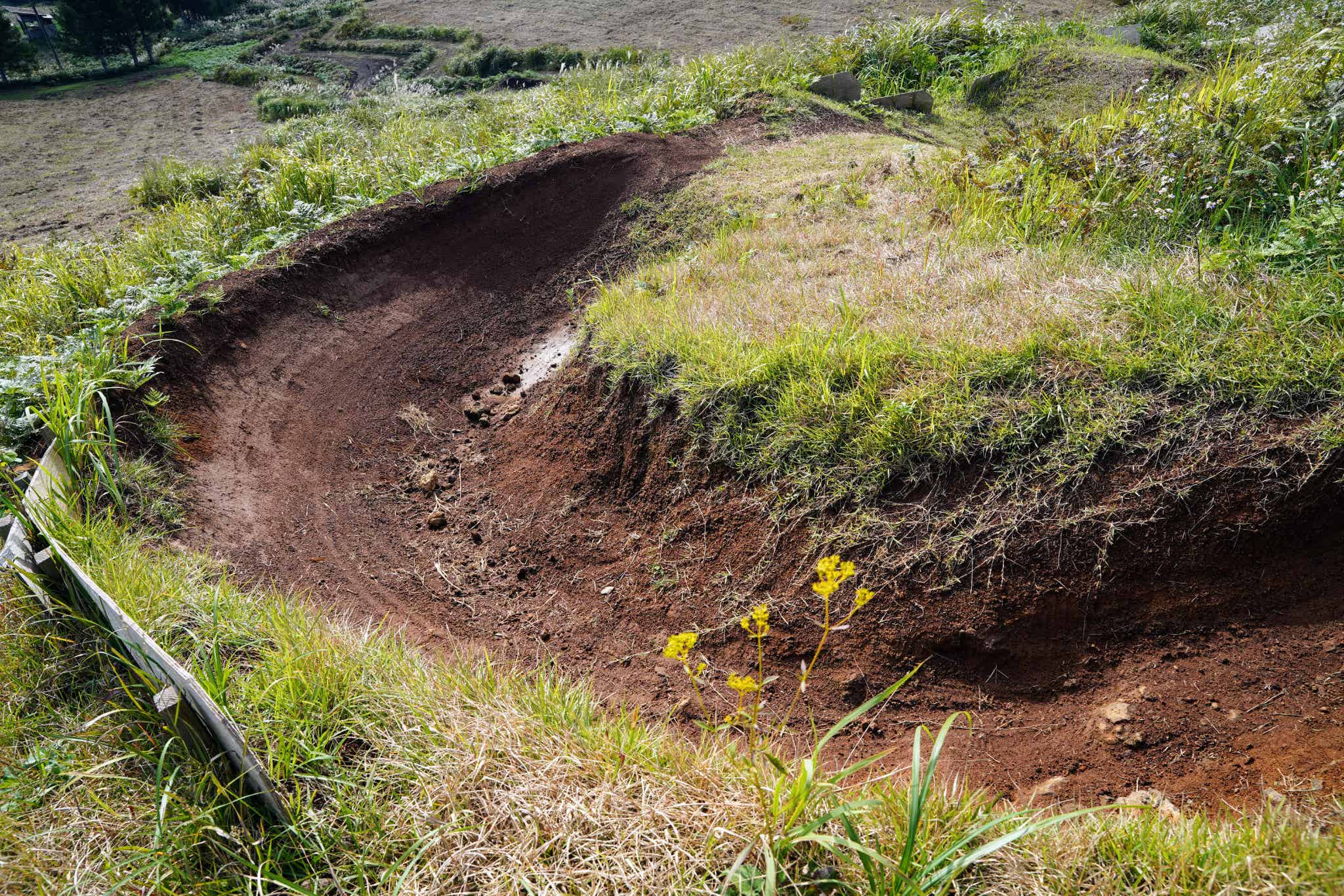 中級:TENGOKU(テンゴク)