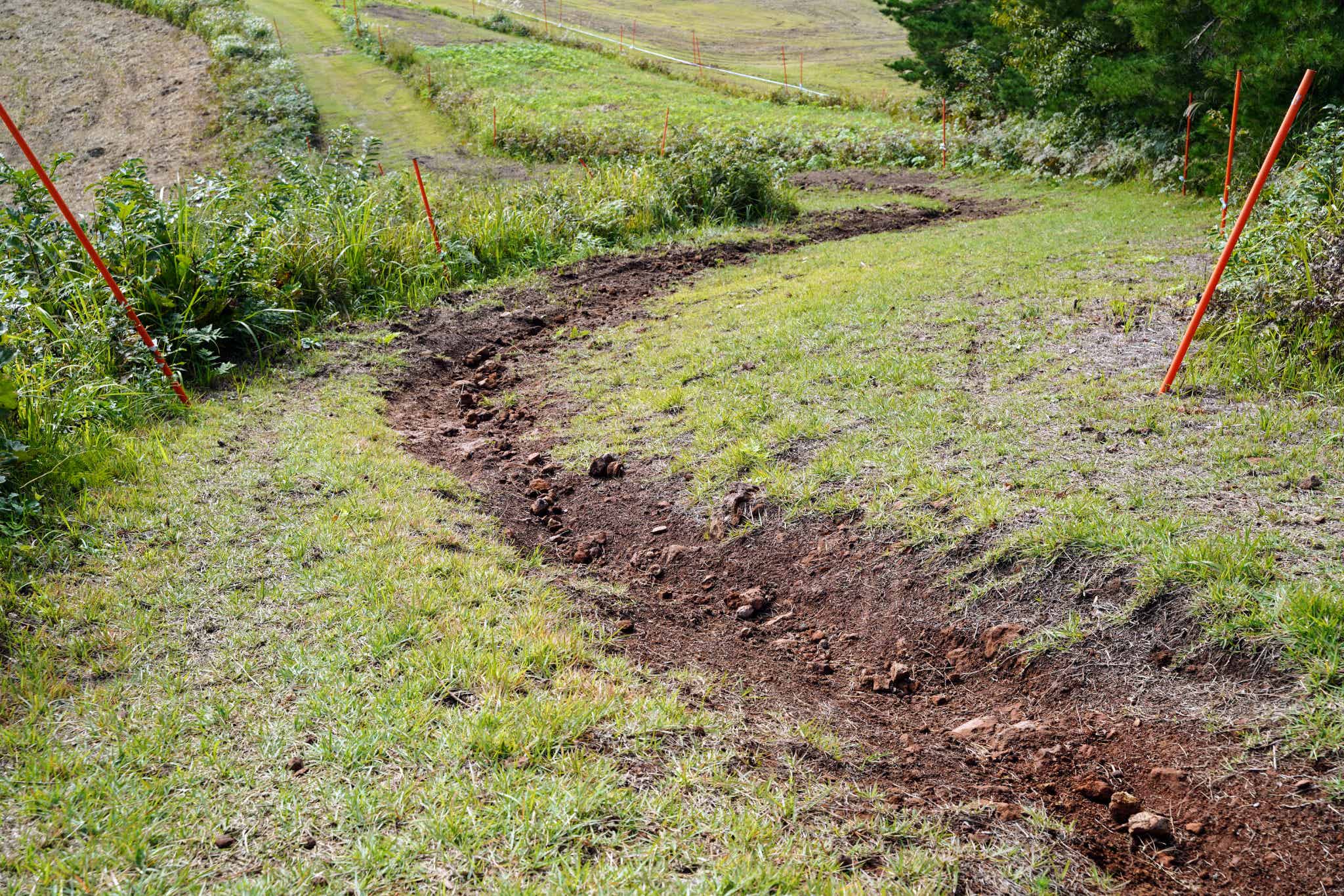 中級:KAMIKAZE(カミカゼ)