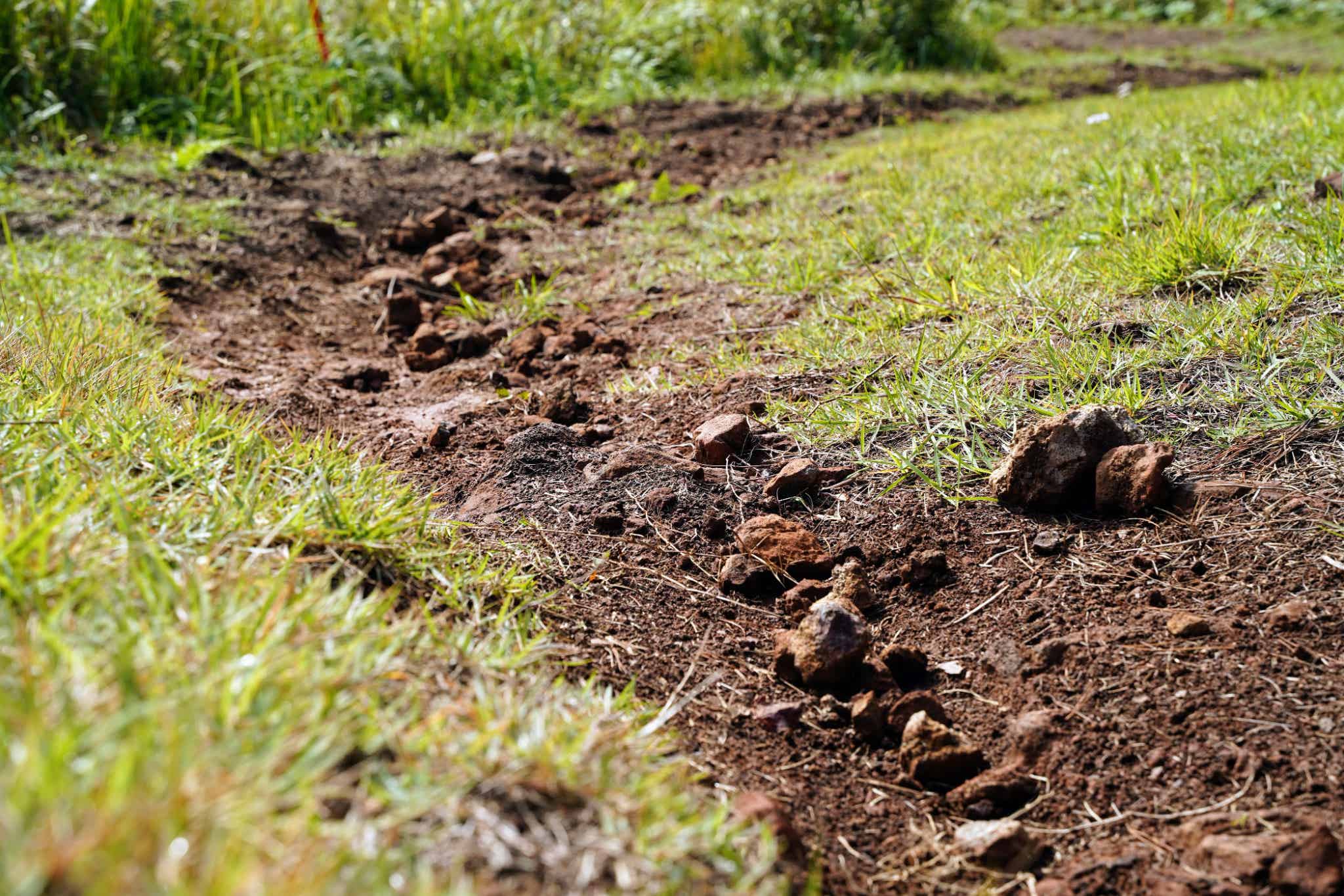 中級:KAMIKAZE(カミカゼ)