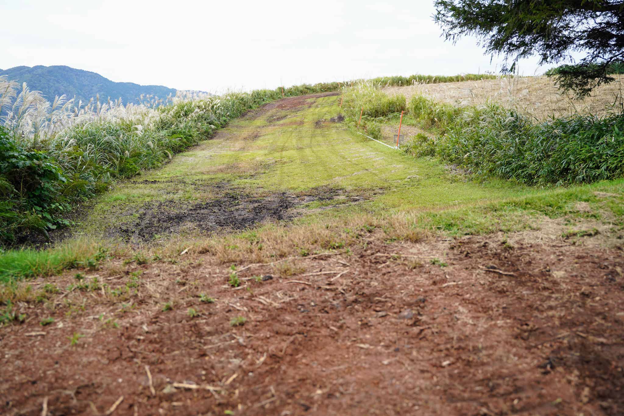 初級コース「マシュマロ」