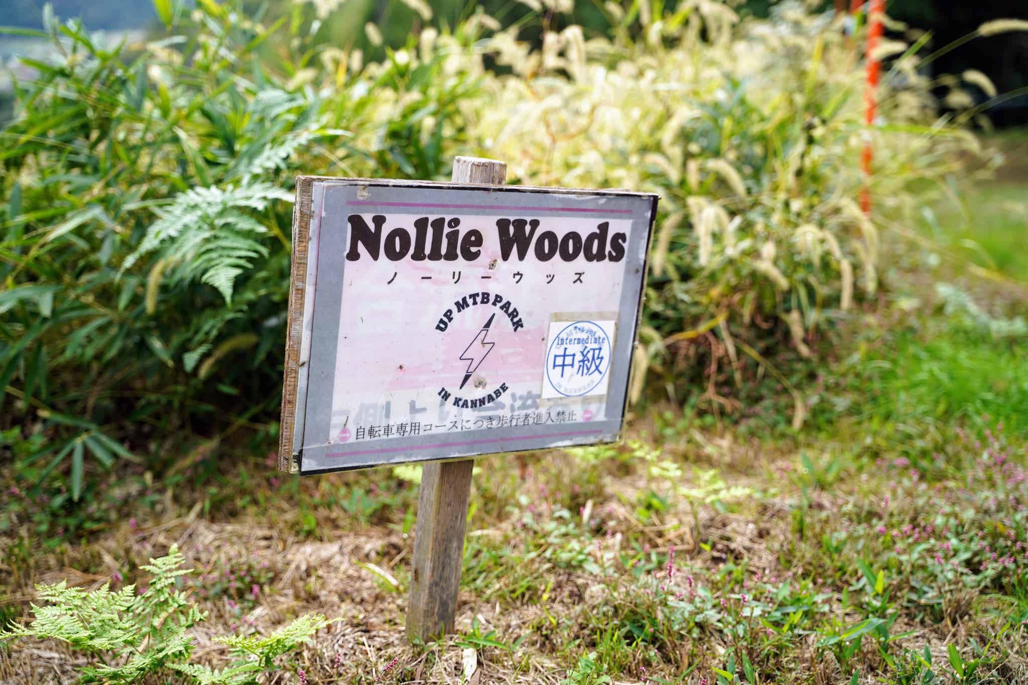 中級:NollieWoods(ノーリーウッズ)