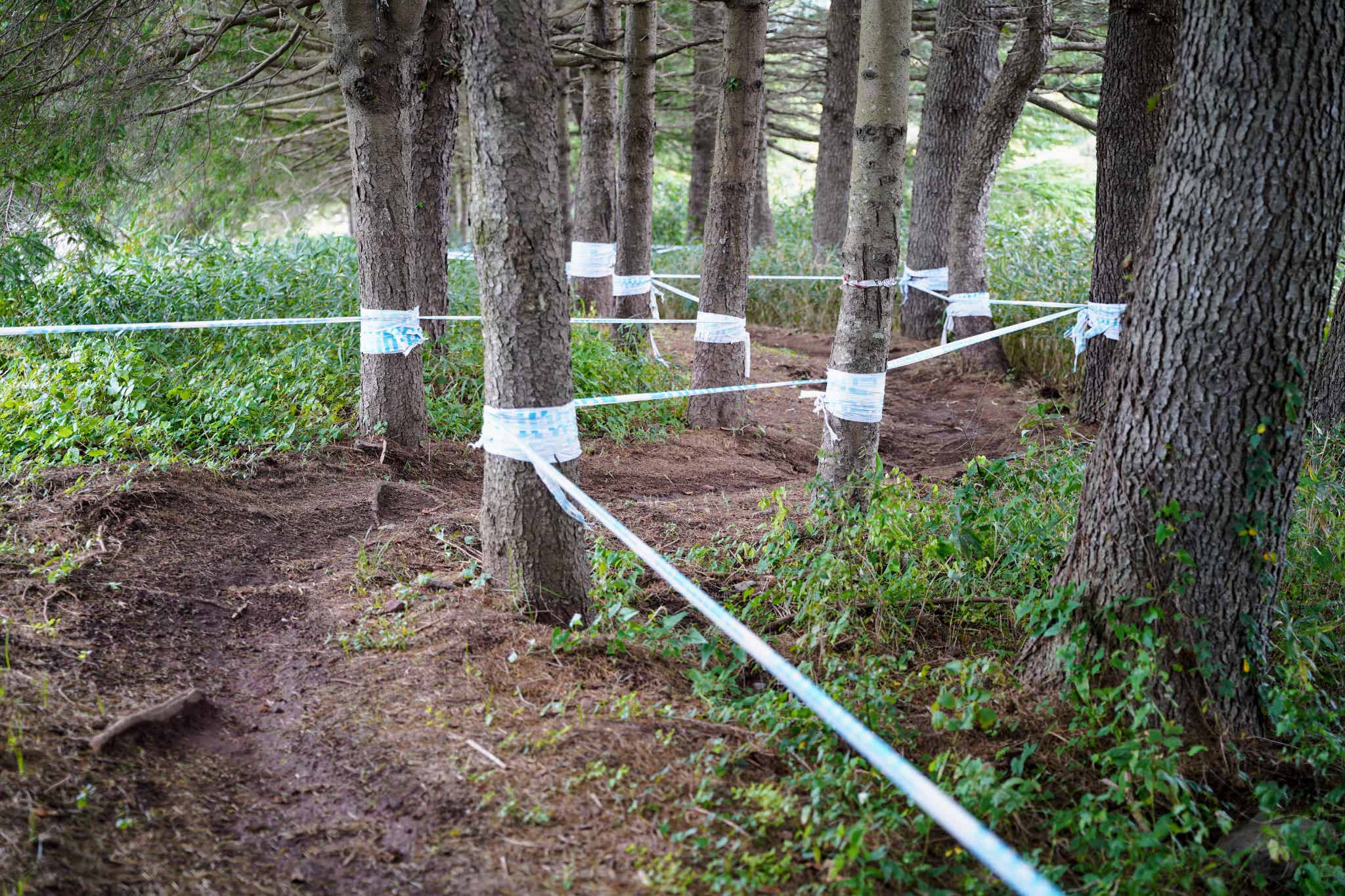 中級:NollieWoods(ノーリーウッズ)