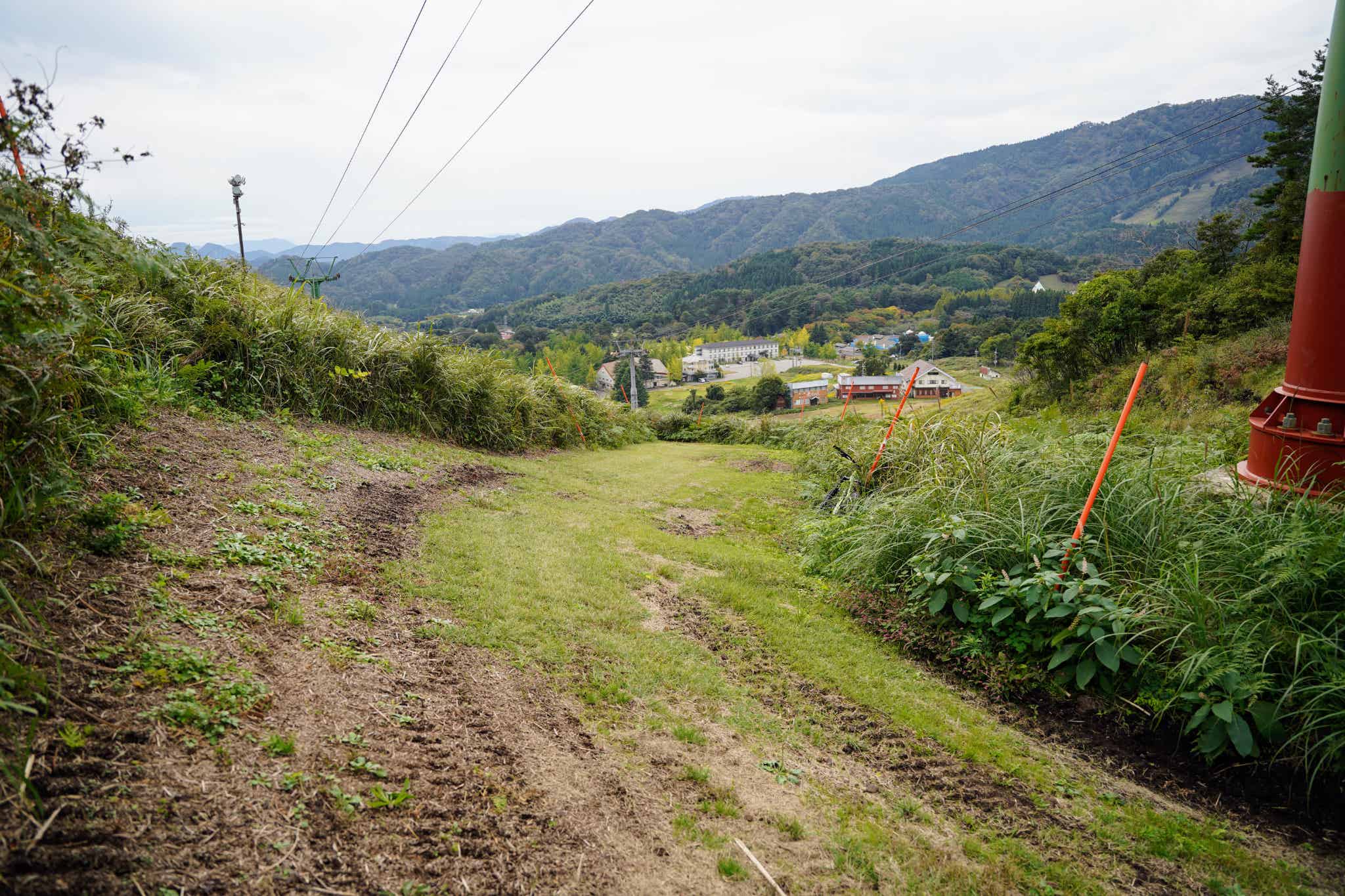 中級:MINT(ミント)