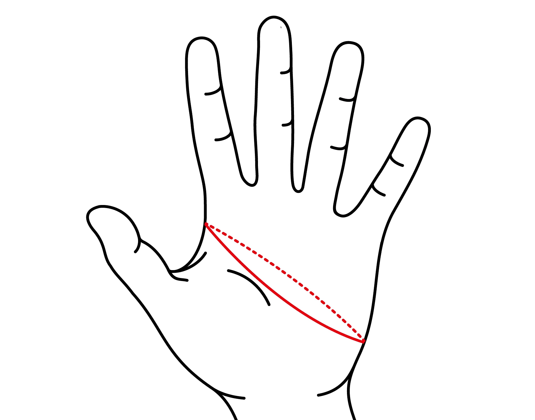 サイクルグローブのサイズの測り方