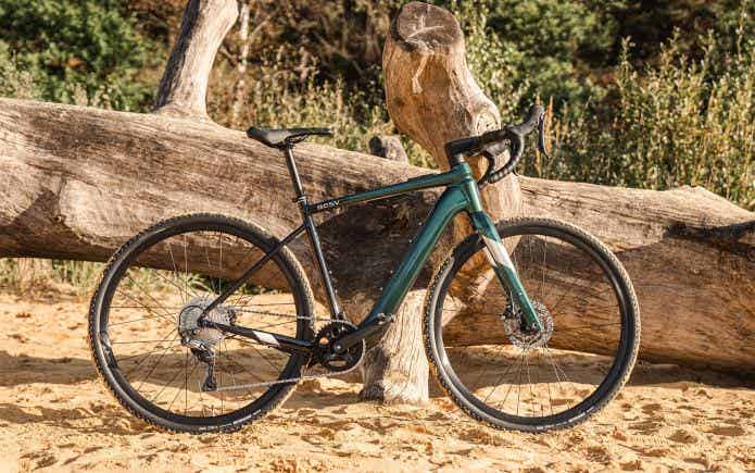 倒木に立てかけた電動グラベルロードバイク