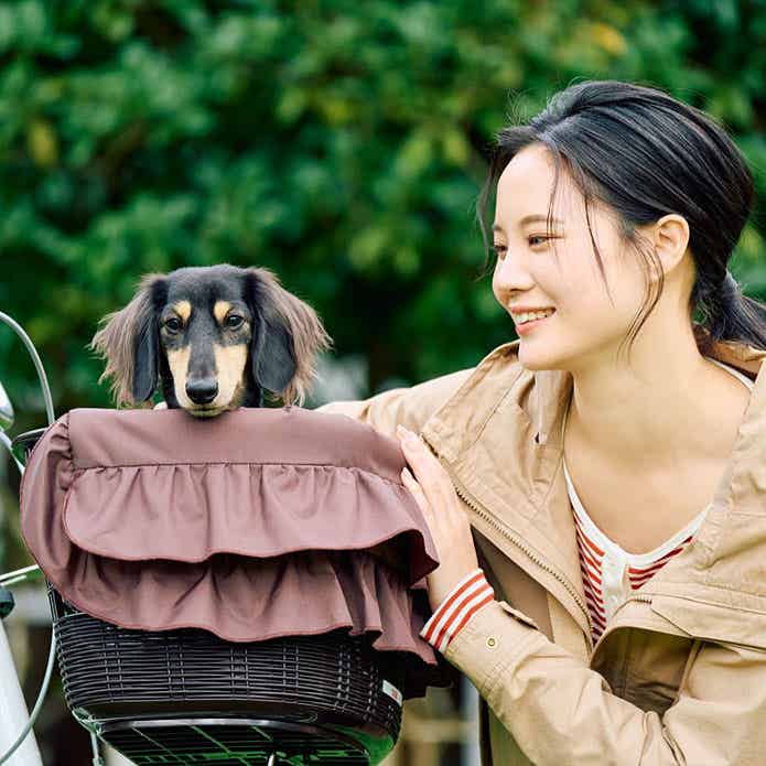 自転車のバスケットに乗る犬と女性