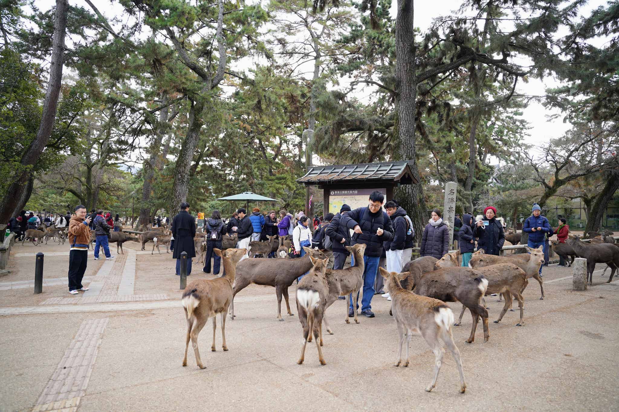 C1ルートの出発地点