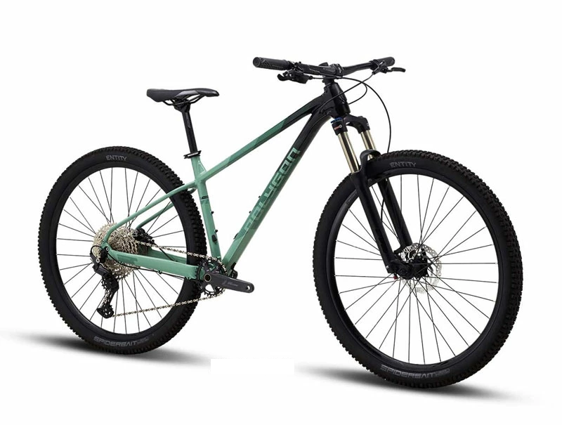 ハードテイルの29インチマウンテンバイク