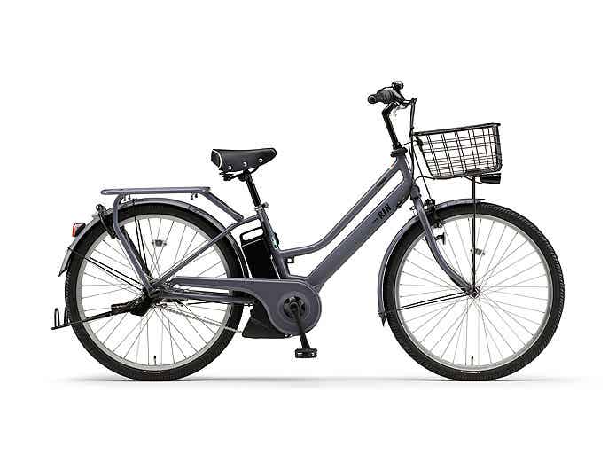 「PAS RIN」ソリッドグレーの車体