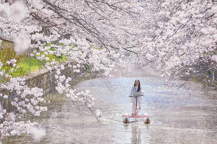 水上サイクリングでの花見