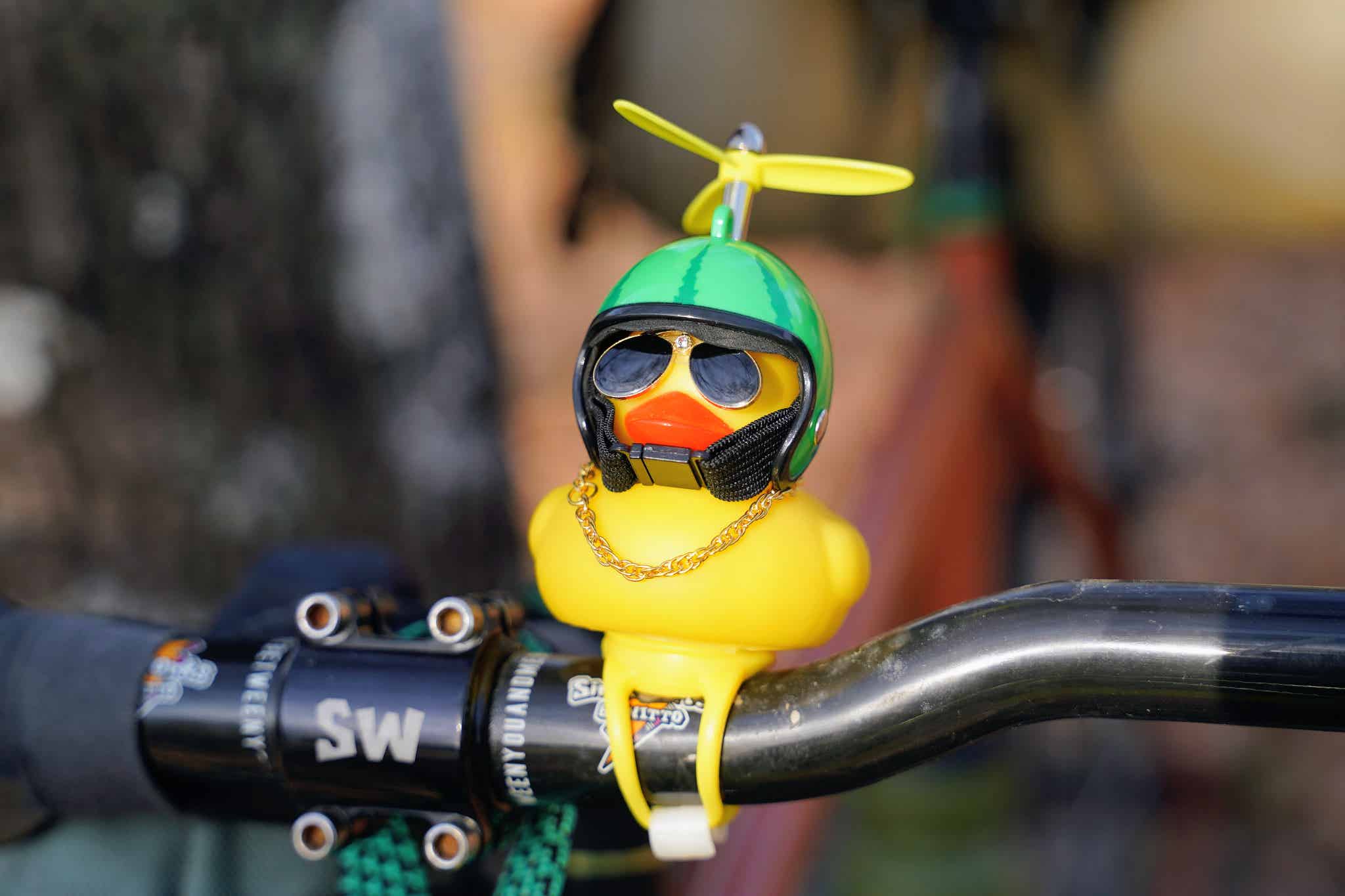 スイカ太郎を斜め前から見た様子