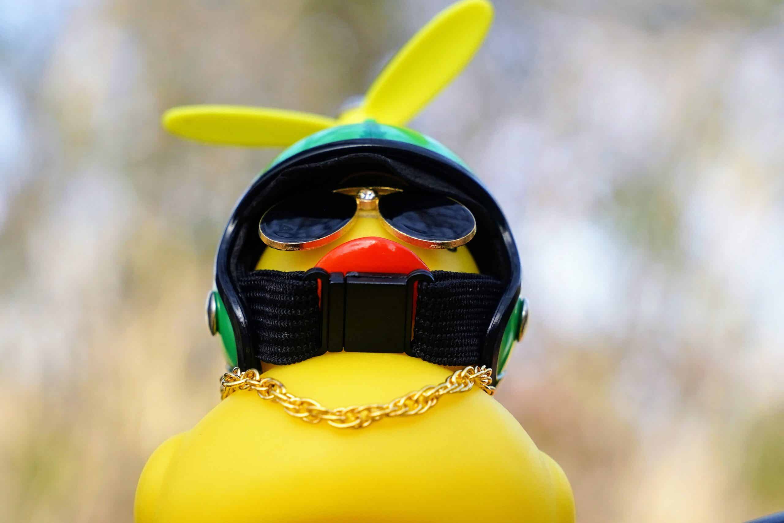 スイカ太郎を下から見た様子